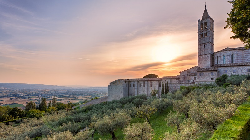 Solnedg�ng �ver Franciskusbasilikan med en olivlund p� en sluttning i f�rgrunden.